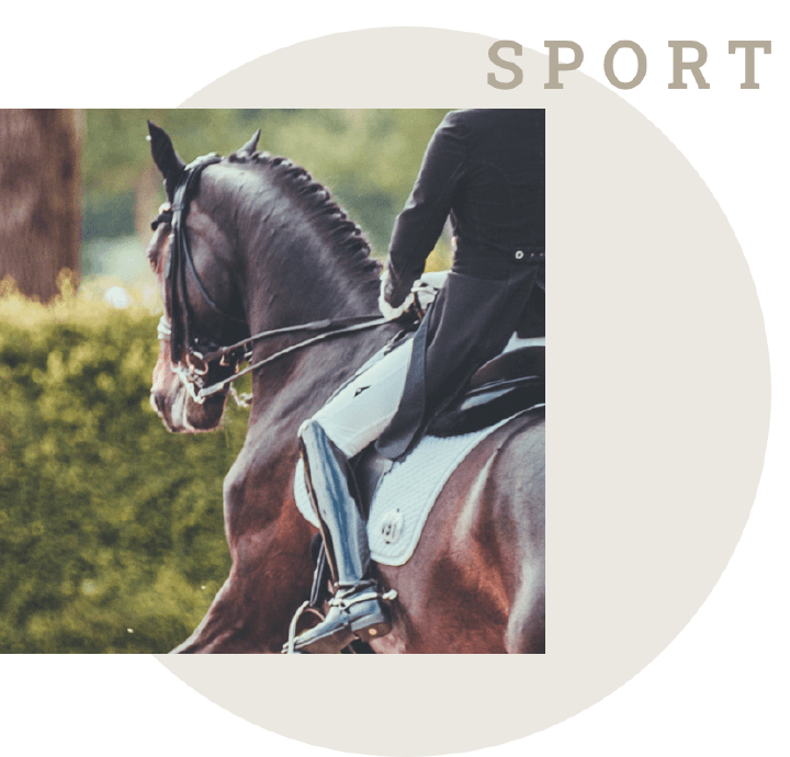 einsatzgebiet sport derby